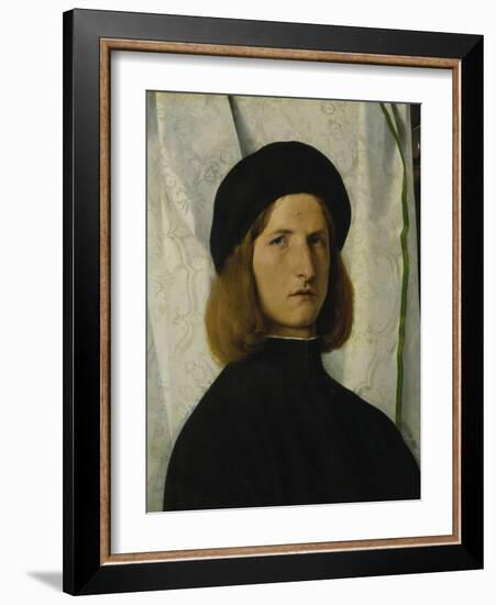 Portrait of a Young Man in Front of a White Curtain, about 1508-Lorenzo Lotto-Framed Giclee Print