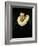 Portrait of a Young Man-El Greco-Framed Giclee Print