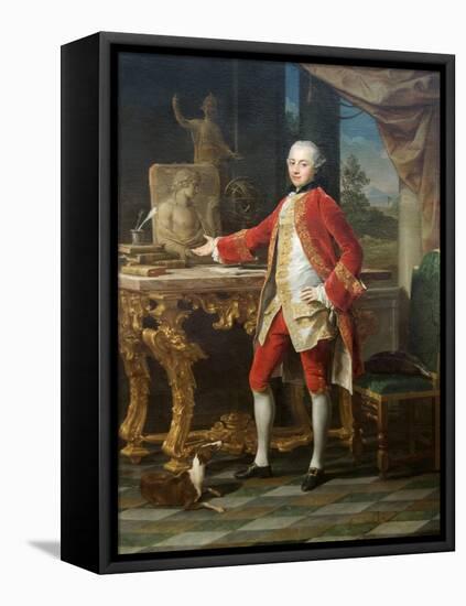 Portrait of a Young Man-Pompeo Batoni-Framed Stretched Canvas