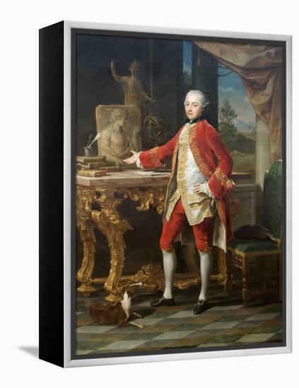 Portrait of a Young Man-Pompeo Batoni-Framed Stretched Canvas