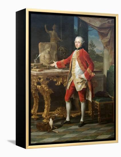 Portrait of a Young Man-Pompeo Batoni-Framed Stretched Canvas