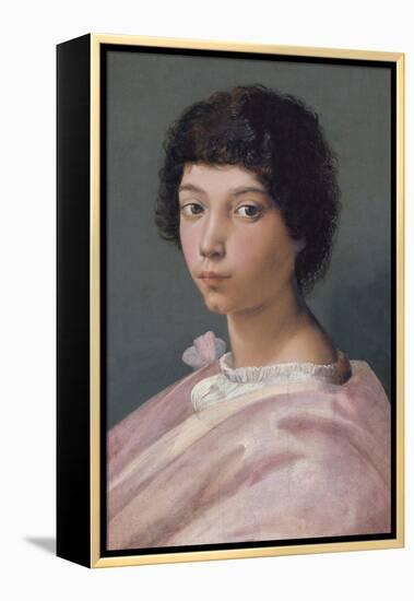 Portrait of a Young Man-Raphael-Framed Premier Image Canvas