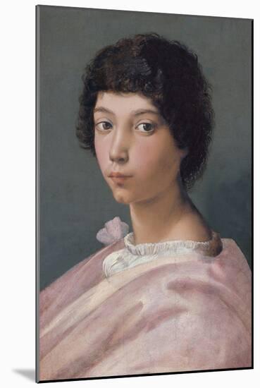 Portrait of a Young Man-Raphael-Mounted Giclee Print