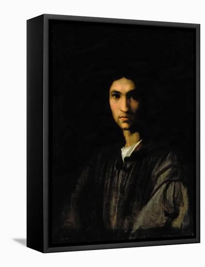 Portrait of a Young Man-Andrea del Sarto-Framed Premier Image Canvas