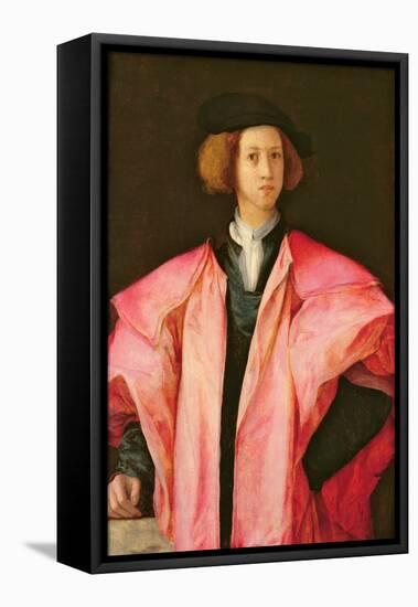 Portrait of a Young Man-Jacopo Pontormo-Framed Premier Image Canvas