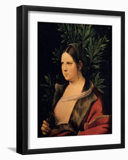 Portrait of a Young Woman (Laura)-Giorgione da Castelfranco-Framed Giclee Print