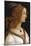 Portrait of a Young Woman-Sandro Botticelli-Mounted Giclee Print