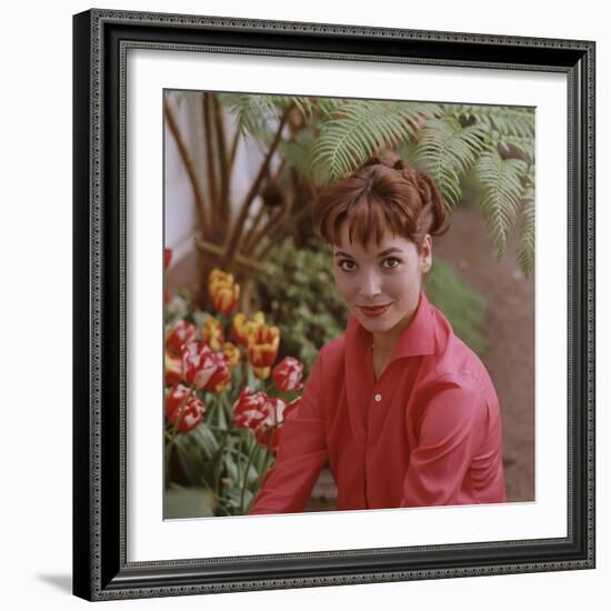 Portrait of Actress Elsa Martinelli-Ralph Crane-Framed Photographic Print