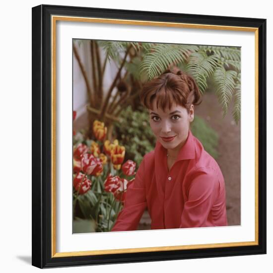 Portrait of Actress Elsa Martinelli-Ralph Crane-Framed Photographic Print