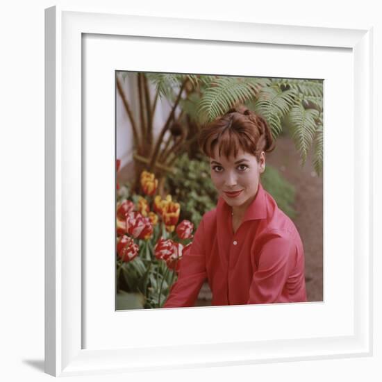 Portrait of Actress Elsa Martinelli-Ralph Crane-Framed Premium Photographic Print