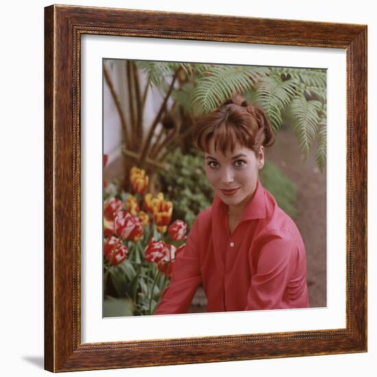 Portrait of Actress Elsa Martinelli-Ralph Crane-Framed Premium Photographic Print