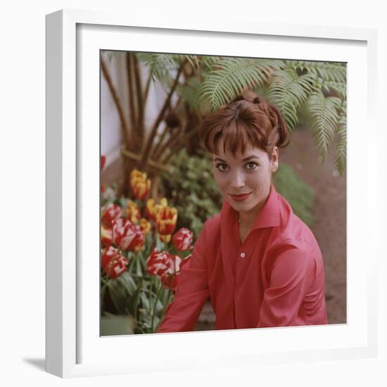 Portrait of Actress Elsa Martinelli-Ralph Crane-Framed Premium Photographic Print