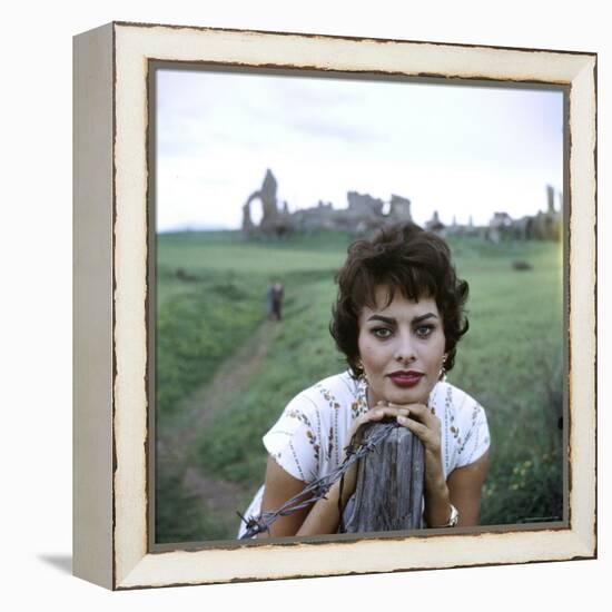 Portrait of Actress Sophia Loren-Loomis Dean-Framed Premier Image Canvas