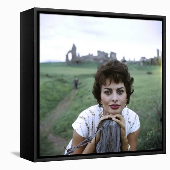 Portrait of Actress Sophia Loren-Loomis Dean-Framed Premier Image Canvas