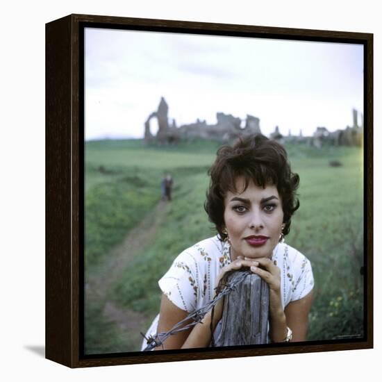 Portrait of Actress Sophia Loren-Loomis Dean-Framed Premier Image Canvas