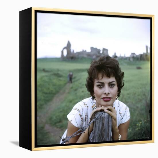 Portrait of Actress Sophia Loren-Loomis Dean-Framed Premier Image Canvas