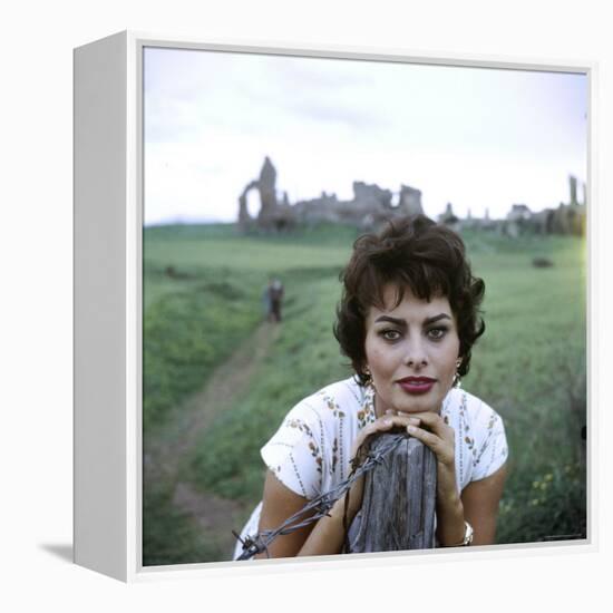 Portrait of Actress Sophia Loren-Loomis Dean-Framed Premier Image Canvas
