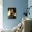 Portrait of Actress Veronica Lake-Eliot Elisofon-Premium Photographic Print displayed on a wall