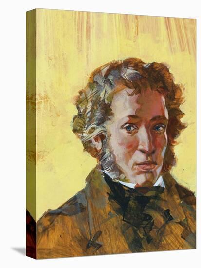 Stretched Canvas Print, , large