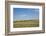 Portrait of American Bison Grazing in the Grasslands, North Dakota-Angel Wynn-Framed Photographic Print