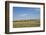 Portrait of American Bison Grazing in the Grasslands, North Dakota-Angel Wynn-Framed Photographic Print