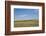 Portrait of American Bison Grazing in the Grasslands, North Dakota-Angel Wynn-Framed Photographic Print