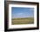 Portrait of American Bison Grazing in the Grasslands, North Dakota-Angel Wynn-Framed Photographic Print