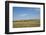 Portrait of American Bison Grazing in the Grasslands, North Dakota-Angel Wynn-Framed Photographic Print