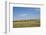 Portrait of American Bison Grazing in the Grasslands, North Dakota-Angel Wynn-Framed Photographic Print