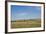 Portrait of American Bison Grazing in the Grasslands, North Dakota-Angel Wynn-Framed Photographic Print