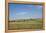 Portrait of American Bison Grazing in the Grasslands, North Dakota-Angel Wynn-Framed Premier Image Canvas