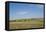 Portrait of American Bison Grazing in the Grasslands, North Dakota-Angel Wynn-Framed Premier Image Canvas