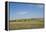 Portrait of American Bison Grazing in the Grasslands, North Dakota-Angel Wynn-Framed Premier Image Canvas