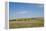 Portrait of American Bison Grazing in the Grasslands, North Dakota-Angel Wynn-Framed Premier Image Canvas