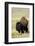 Portrait of American Bison Grazing in the Grasslands, North Dakota-Angel Wynn-Framed Photographic Print