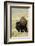 Portrait of American Bison Grazing in the Grasslands, North Dakota-Angel Wynn-Framed Photographic Print