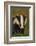 Portrait of an Adult Badger (Meles Meles), Derbyshire, UK-Andrew Parkinson-Framed Photographic Print