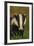 Portrait of an Adult Badger (Meles Meles), Derbyshire, UK-Andrew Parkinson-Framed Photographic Print