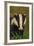 Portrait of an Adult Badger (Meles Meles), Derbyshire, UK-Andrew Parkinson-Framed Photographic Print