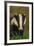 Portrait of an Adult Badger (Meles Meles), Derbyshire, UK-Andrew Parkinson-Framed Photographic Print