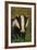 Portrait of an Adult Badger (Meles Meles), Derbyshire, UK-Andrew Parkinson-Framed Photographic Print