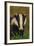 Portrait of an Adult Badger (Meles Meles), Derbyshire, UK-Andrew Parkinson-Framed Photographic Print