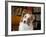 Portrait of an Australian Shepherd in the Library-Zandria Muench Beraldo-Framed Photographic Print