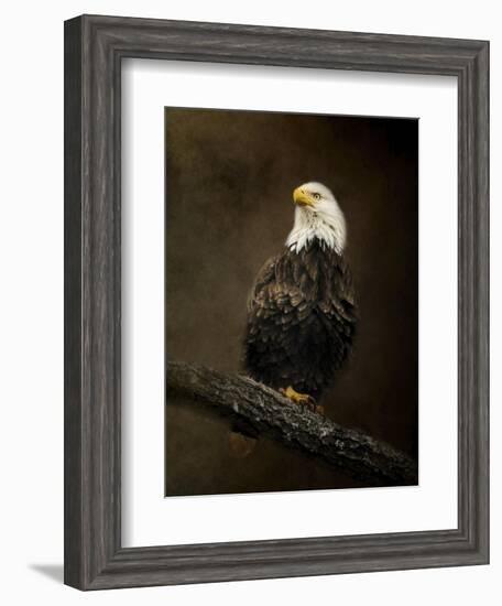 Portrait of an Eagle-Jai Johnson-Framed Giclee Print