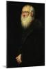 Portrait of an Elder Man with White Beard, circa 1570-Jacopo Robusti Tintoretto-Mounted Giclee Print