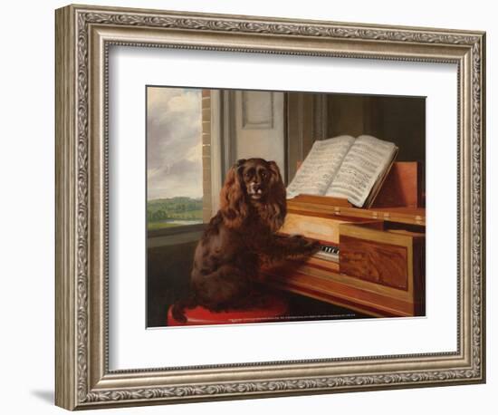 Portrait of an Extraordinary Musical Dog, 1805-Philip Reinagle-Framed Art Print