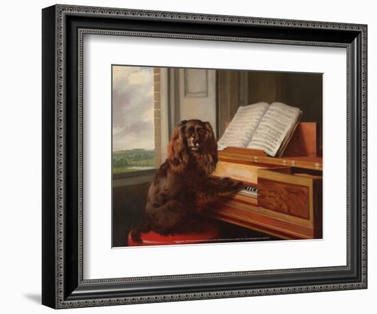 Portrait of an Extraordinary Musical Dog, 1805-Philip Reinagle-Framed Art Print