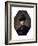 Portrait of an Old Warrior, C1629-1630-Rembrandt van Rijn-Framed Giclee Print