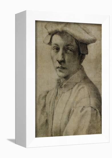 Portrait of Andrea Quaratesi, Around 1532, Black Chalk on Paper-Michelangelo Buonarroti-Framed Giclee Print