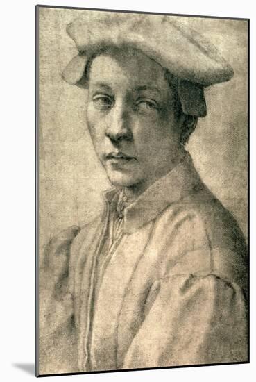 Portrait of Andrea Quaratesi, c.1532-Michelangelo Buonarroti-Mounted Giclee Print